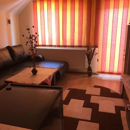 Călimăneşti Stelutaヴィラ エクステリア 写真