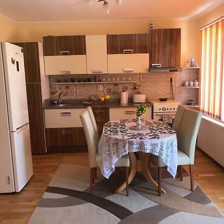Călimăneşti Stelutaヴィラ エクステリア 写真