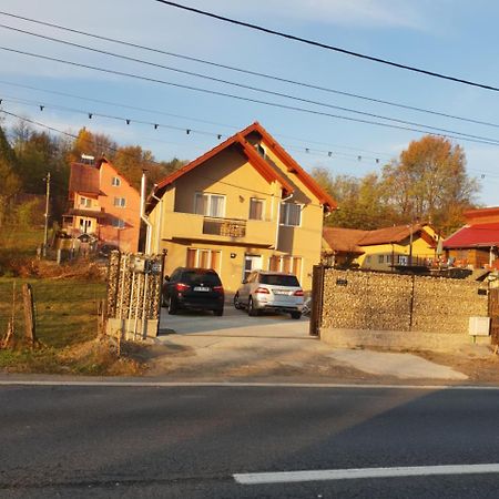 Călimăneşti Stelutaヴィラ エクステリア 写真