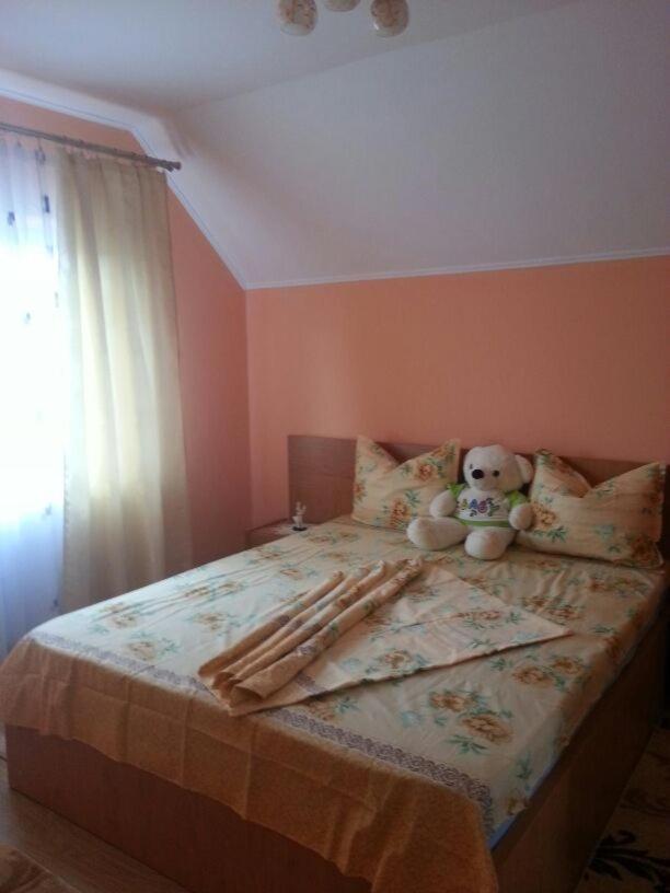 Călimăneşti Stelutaヴィラ エクステリア 写真