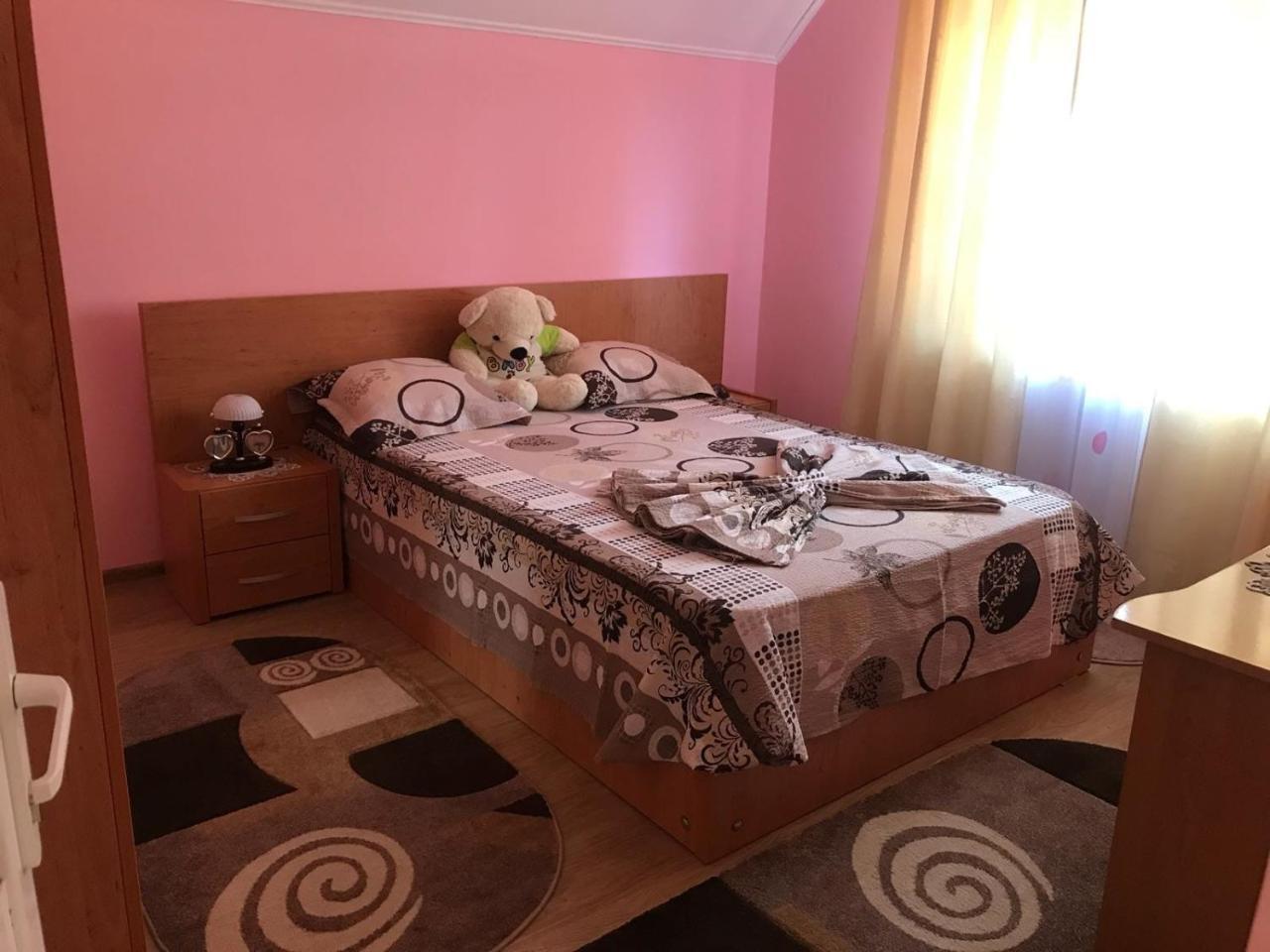 Călimăneşti Stelutaヴィラ エクステリア 写真