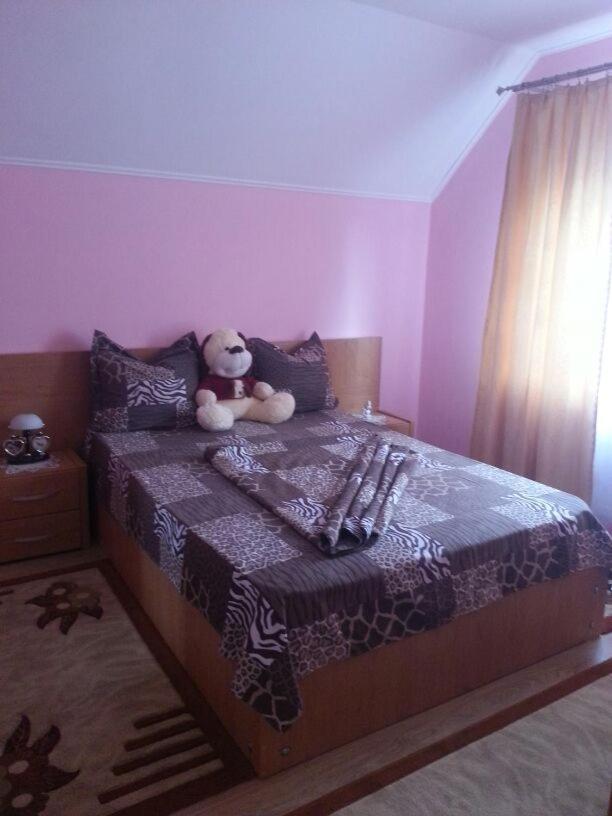 Călimăneşti Stelutaヴィラ エクステリア 写真