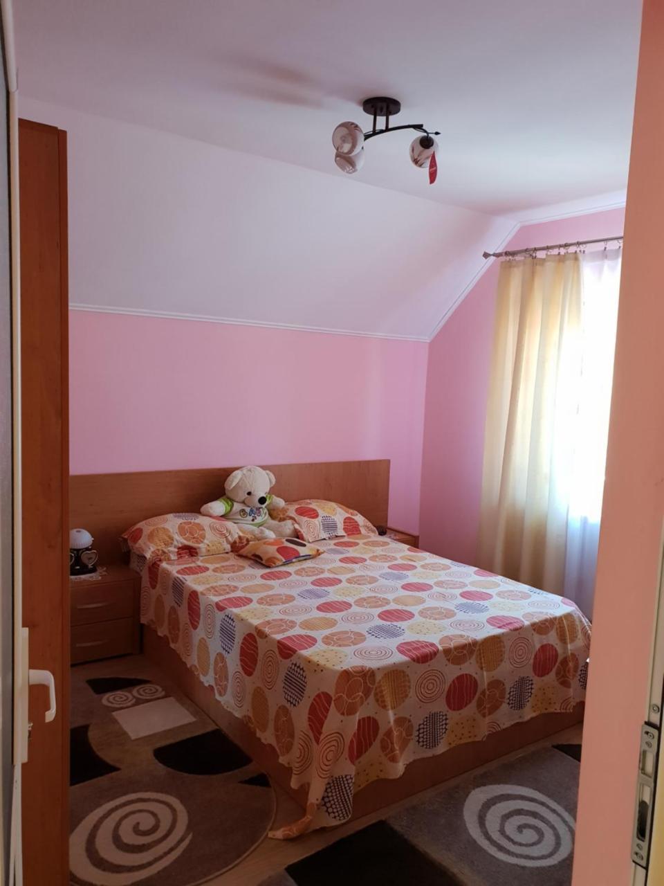 Călimăneşti Stelutaヴィラ 部屋 写真