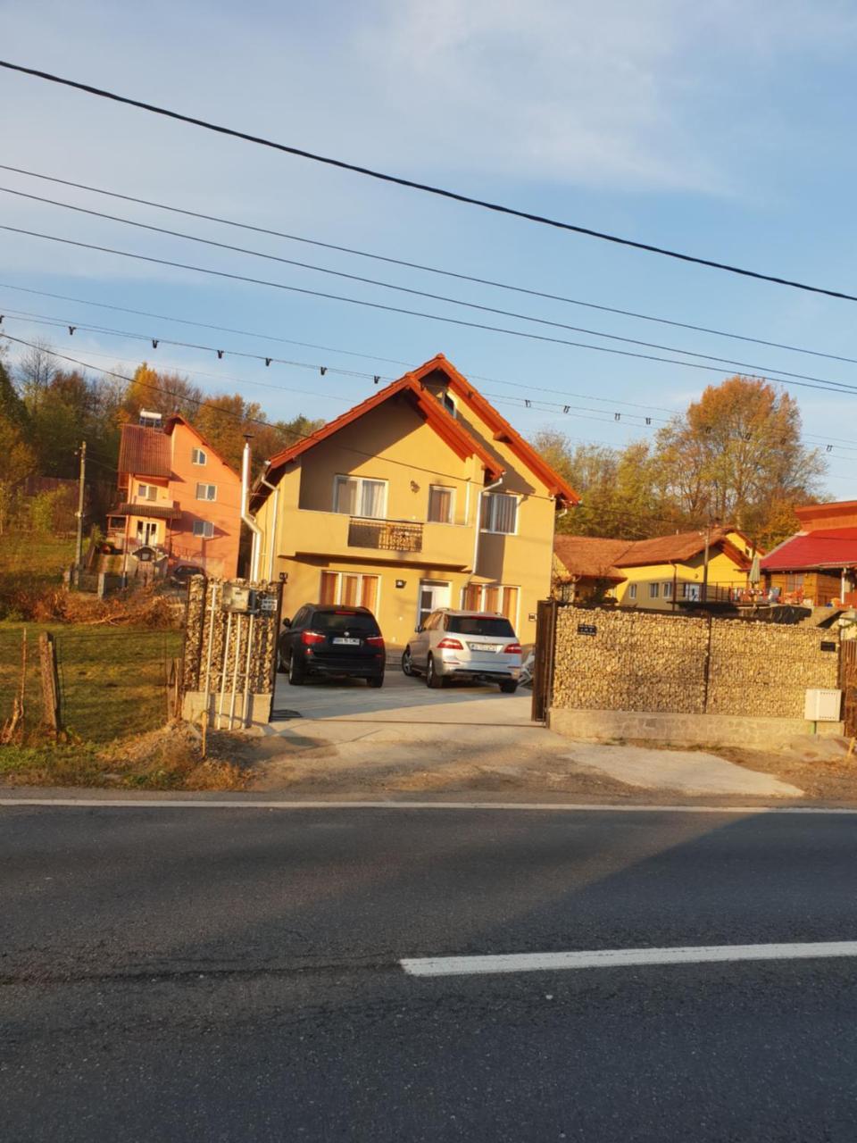 Călimăneşti Stelutaヴィラ エクステリア 写真